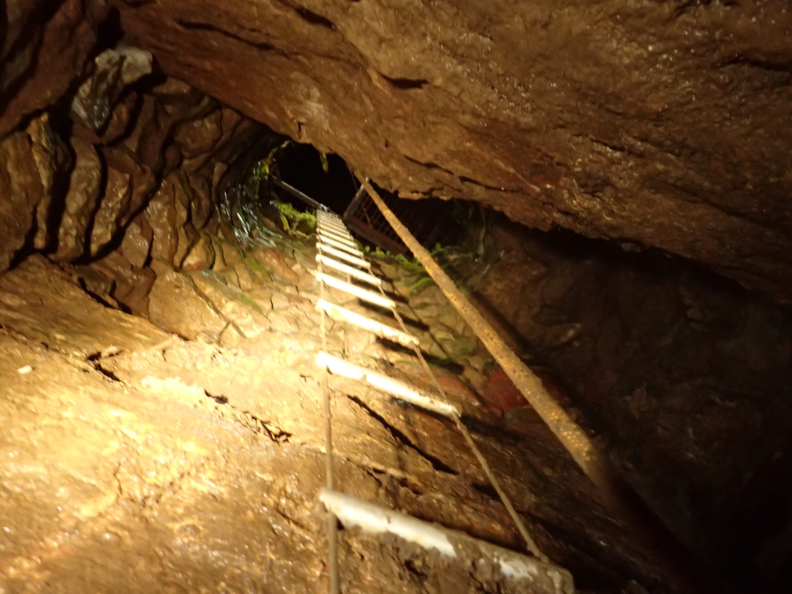 Looking up the entrance shaft of Charnel from below.