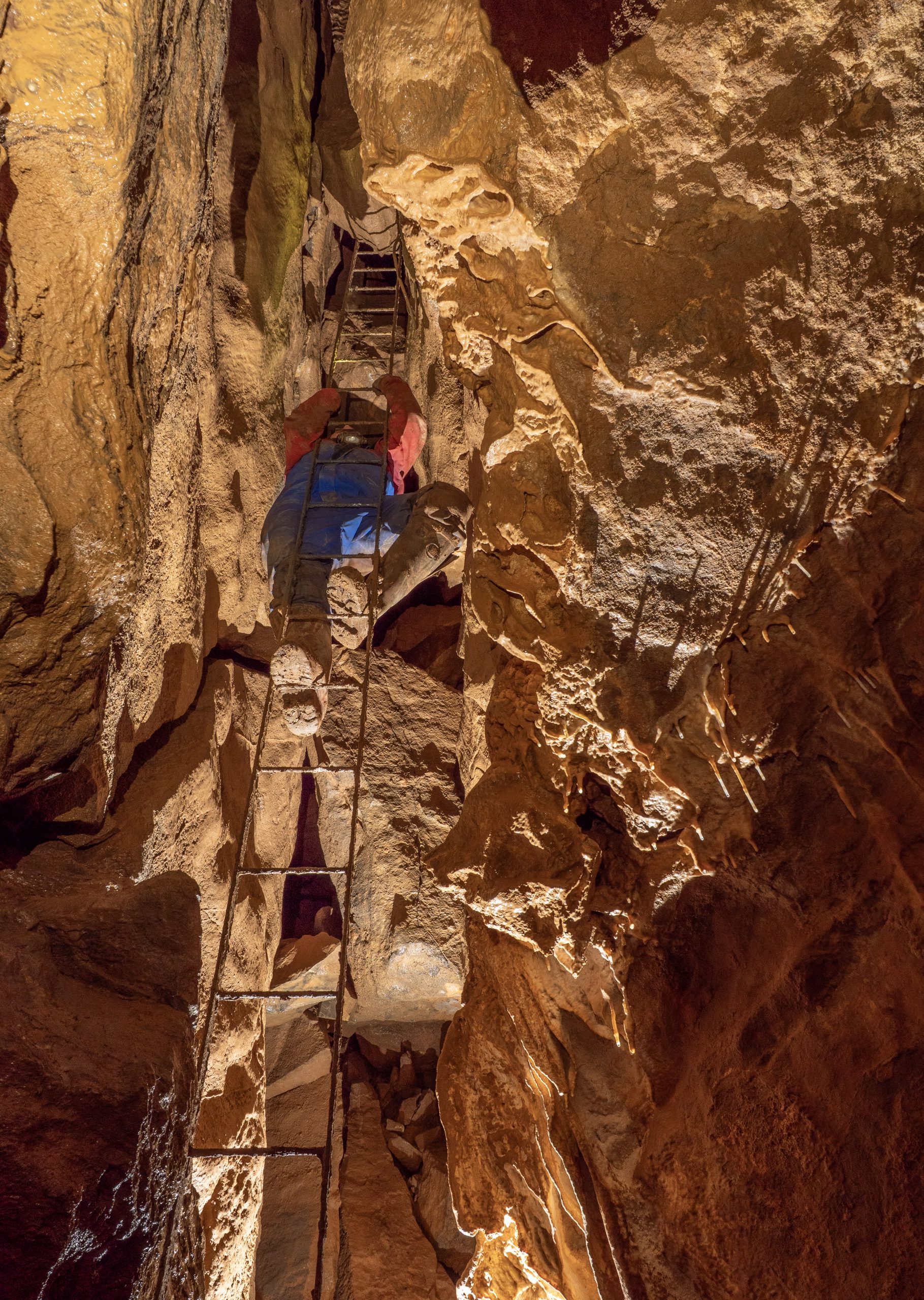 Inside Bone Hole Cave - Image 3