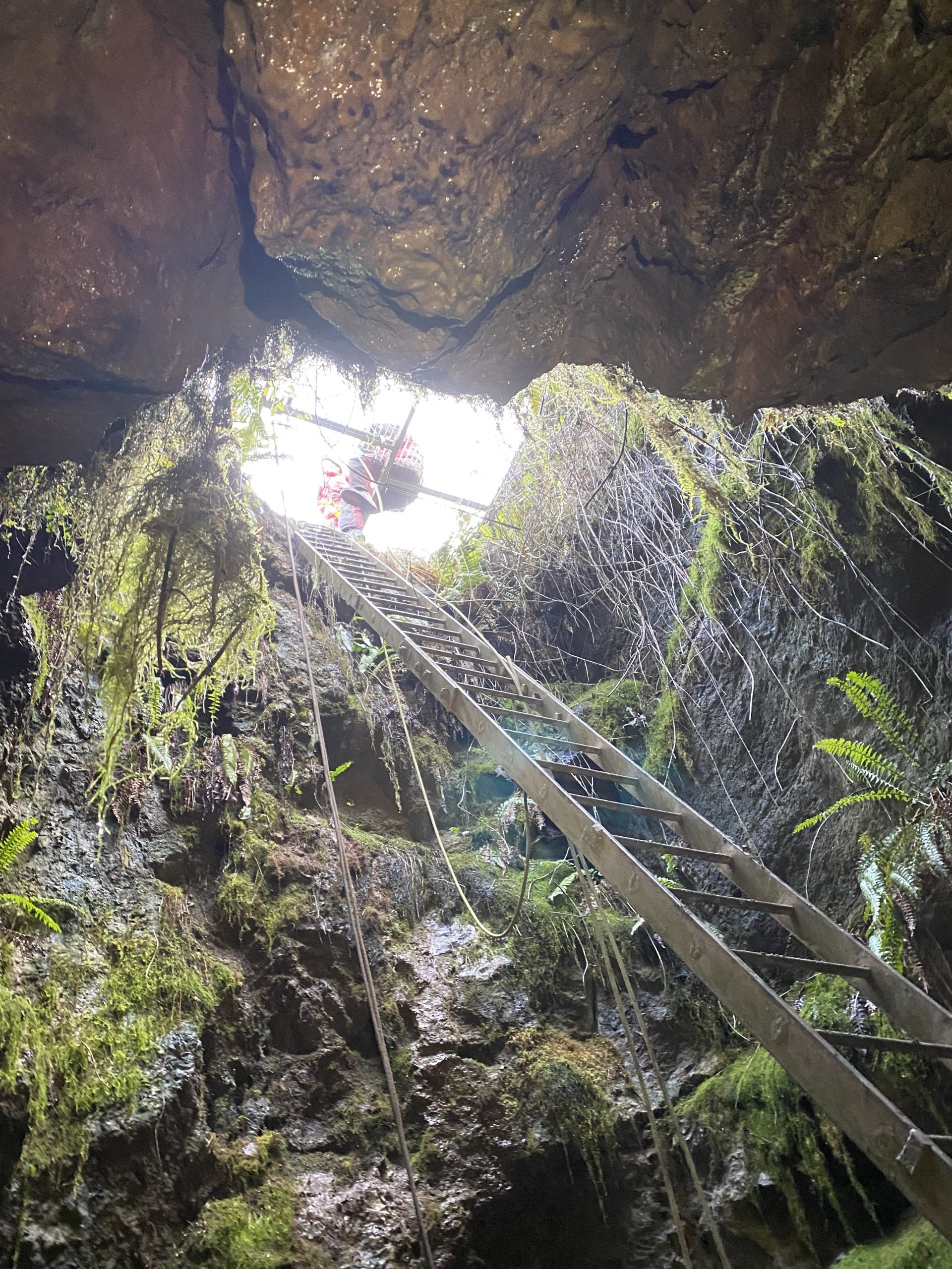 Looking up from what was once a 100m mine shaft.