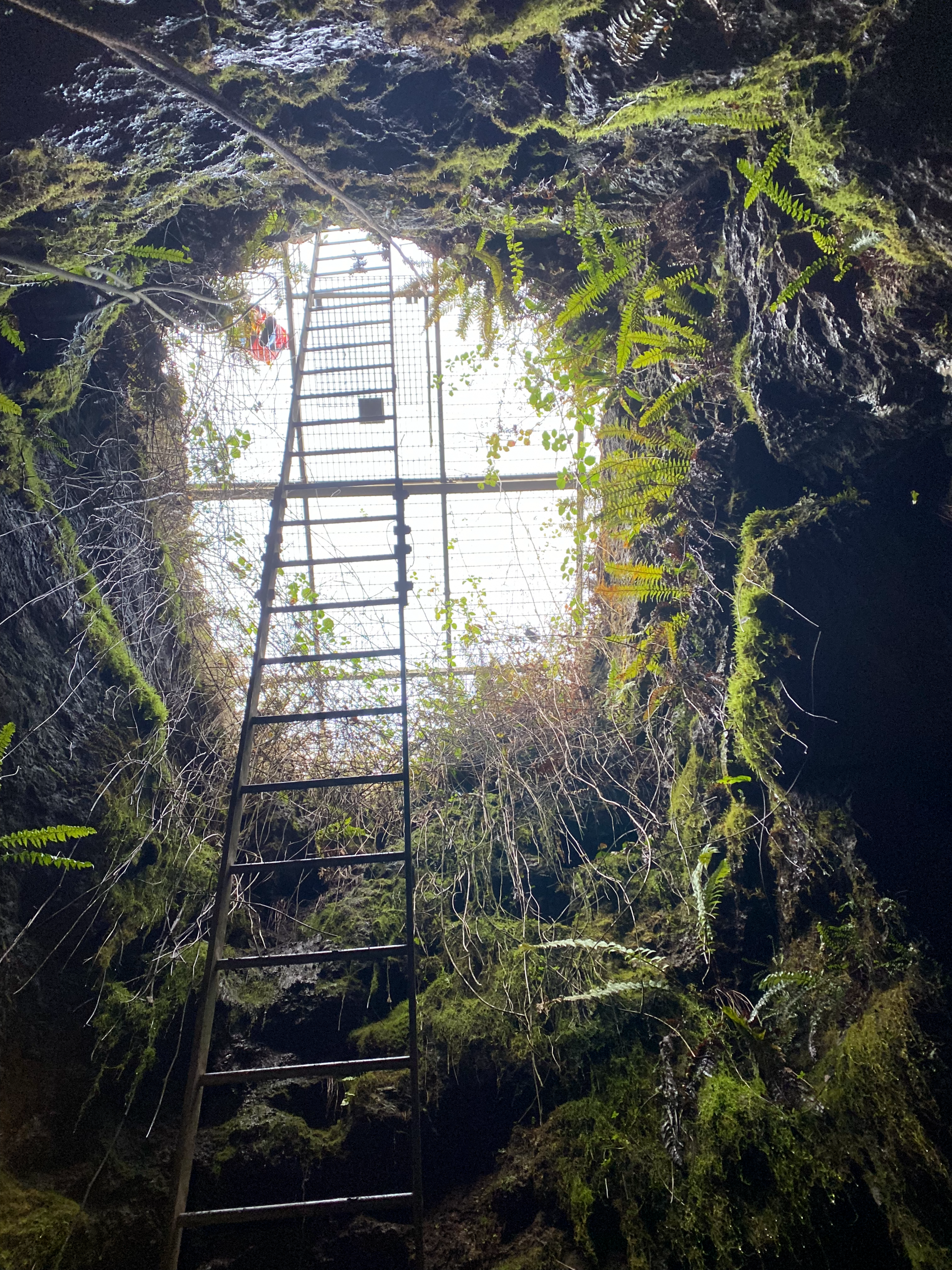 Entrance of Stainsby's Shaft
