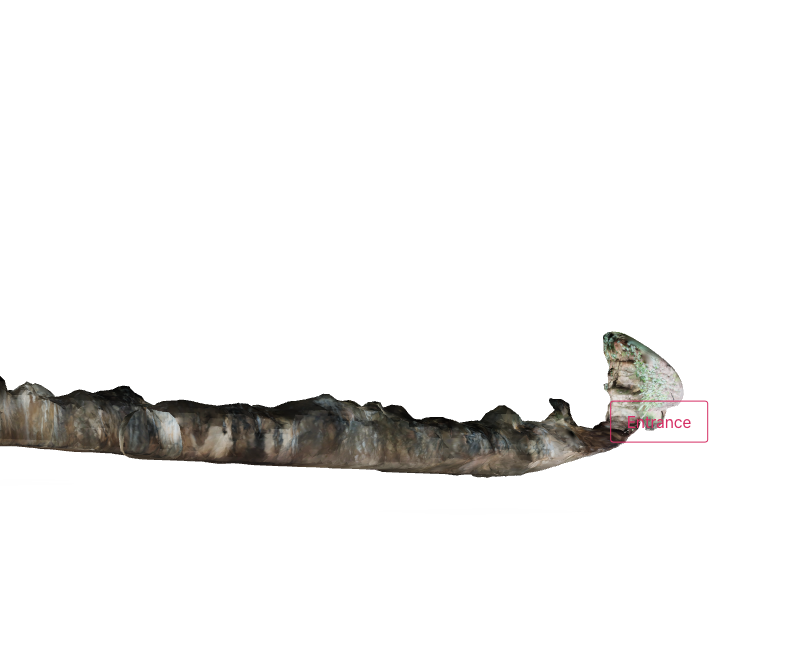 3D scan of Sandford Levy